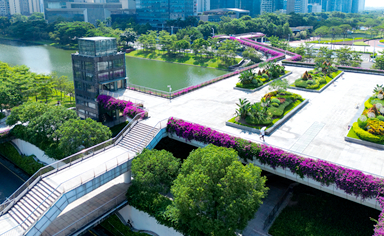 佛山物業(yè)城市項目時花采購及配套服務